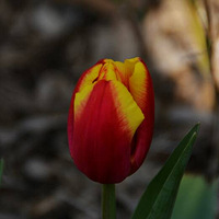 ӭ������