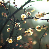 ���ɽ   ��ׯ