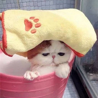 ��Ȥ�����޼Ӻ�ë��