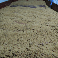 �Ը����������ĺ���