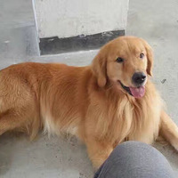 ��ʮ����ޣ�ϵ�����š���