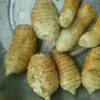 �²�������ʲô������ָ��ָ����