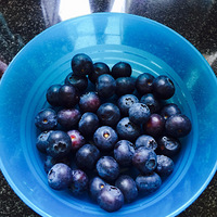 ��ɫ���������˽��ֹ�����