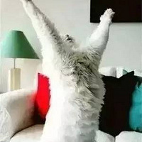 ��˵�׶�԰��ʦ��һ����������~