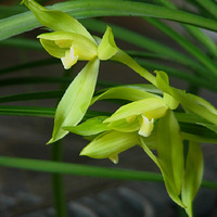 ��ׯ������Ʒչ