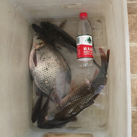 һ������