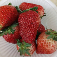 �������к�