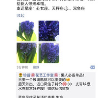 ������ɫ������