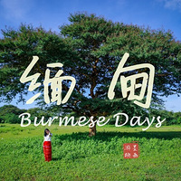 Burmese Days|ʮ