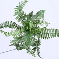 �����̻�ֲ��ǽ ����Ϊ�������������