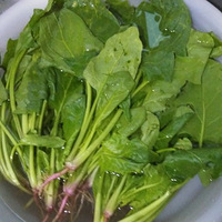 �����̵�����Գ�-----���������̵�