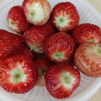 ˮ������