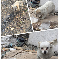 ����������������ʣ�Ĳ�Ҫ�Ķ��У�