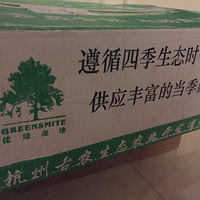 ������������Գԡ������ʿ��ļ�