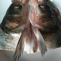 һ�����������˾�����ʵ��