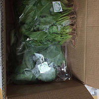 �����̵ص��л��߲����Ʒ�� ������ܿ���