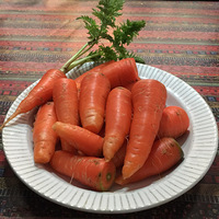 ��ɫ����