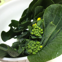 �����̵�����Գ�-�����������ʵ��߲�����