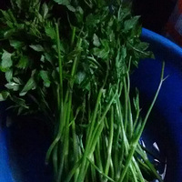 #�����ζ��#