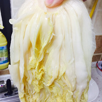 ��˶���������������İ���