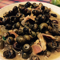 �л�����