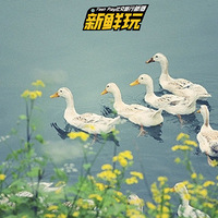 ĩȥԴԼ