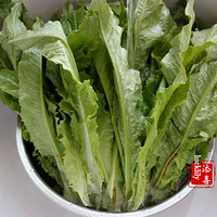 �������ҳ����Դ��죬���ˡ���������������