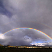 ���۴������318����Լ���У�