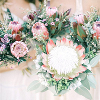 ���ݲ廨��ѵʲôѧУ�ã�