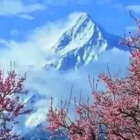 3��18�ţ�25��һ��ƴ��ȥ����������֥�һ���