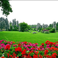 ���������� ����������ɽ����