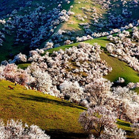 ���½���½������ӻ�������ԭʼ��Ұ���֣������������Ʈ��