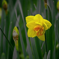 ̫����һ��