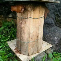 �����ò�Ʒ������Ȼ