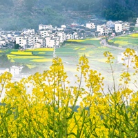 ���������Ĵ�ɫ���ˣ���ĩ��ȥ��Դ��