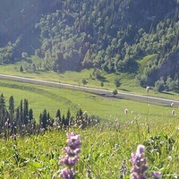 һ��һ��һ��һ��