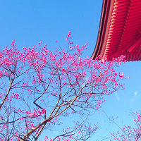 大理古城洱海住宿攻略 牢记四大tips