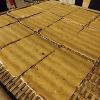 ���ŵ�̽�ء�2.25����|��Խ����ŵ���Ѱ�����������