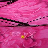 ƽ�̾�������-Ҫ������Լ