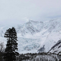 Լ��׷�������ε����ѣ�