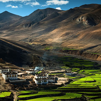 ���½��ȥ��������-�տ���-���-��ľ��