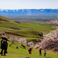 4�½���½��ӻ���