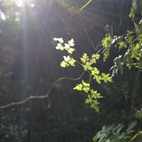 ���ŵ�̽�ء�3.26����|��Խ����ŵ���Ѱ�����������