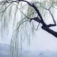 �����������ִ��죬���̻����¡�