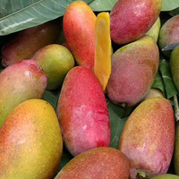 ����â����óԵ�â��