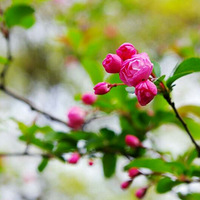 �������ǰ���С��