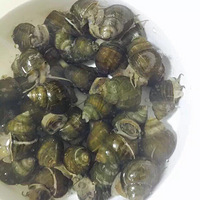 ��Ȼ�о��Լ��������Ǳ�ˣ��