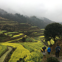 4��1����19:00  ��Դ�����Ͳ˻���ɽ��ҰѰ���㡢 ��Դ�θ�ɽƽ��