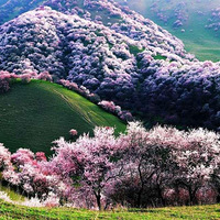 ���½���½����������ӻ���