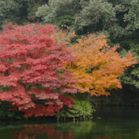 ��������ѻ��-4.2����ʱ��������Ʒ����